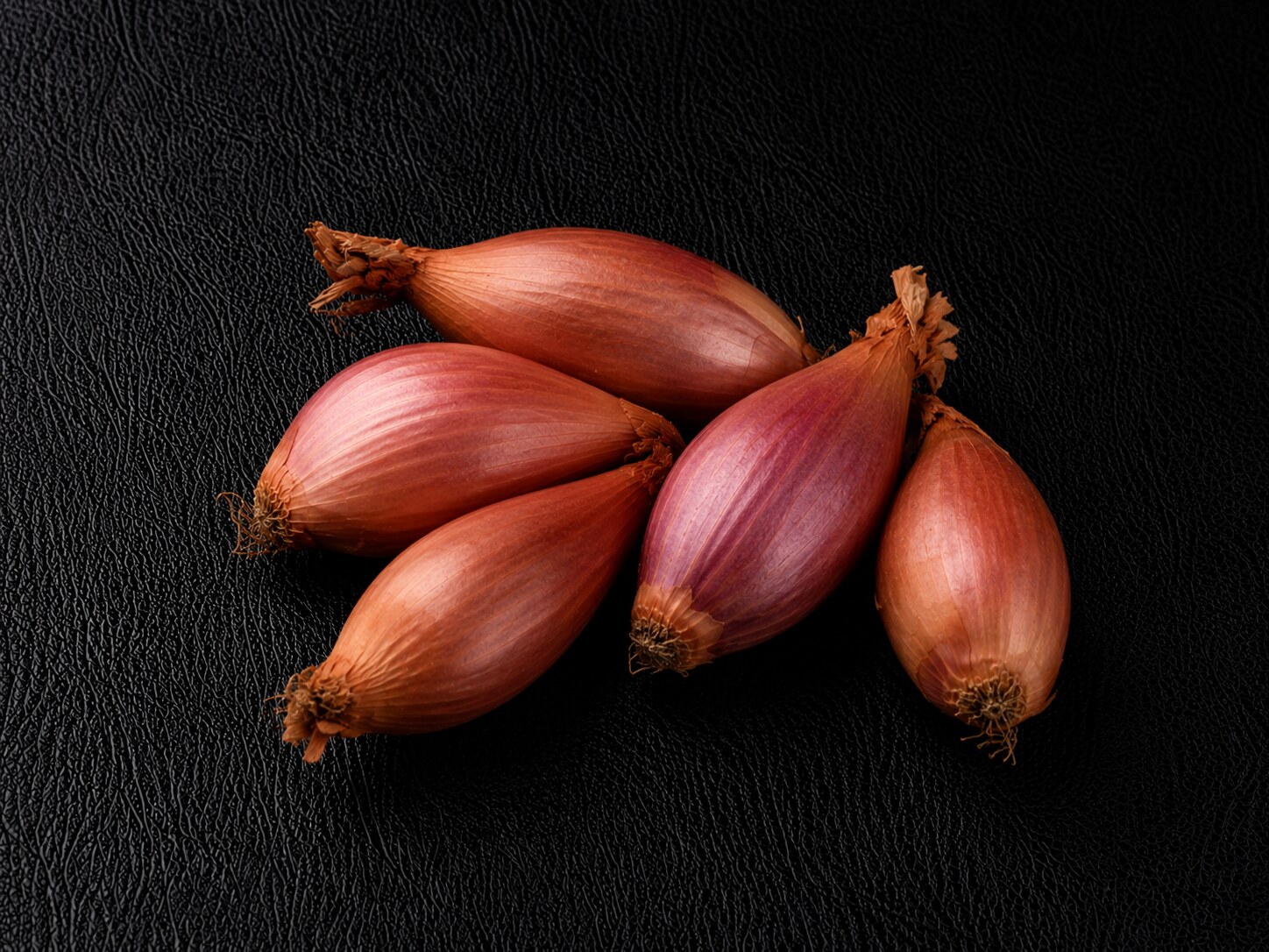 Échalote France