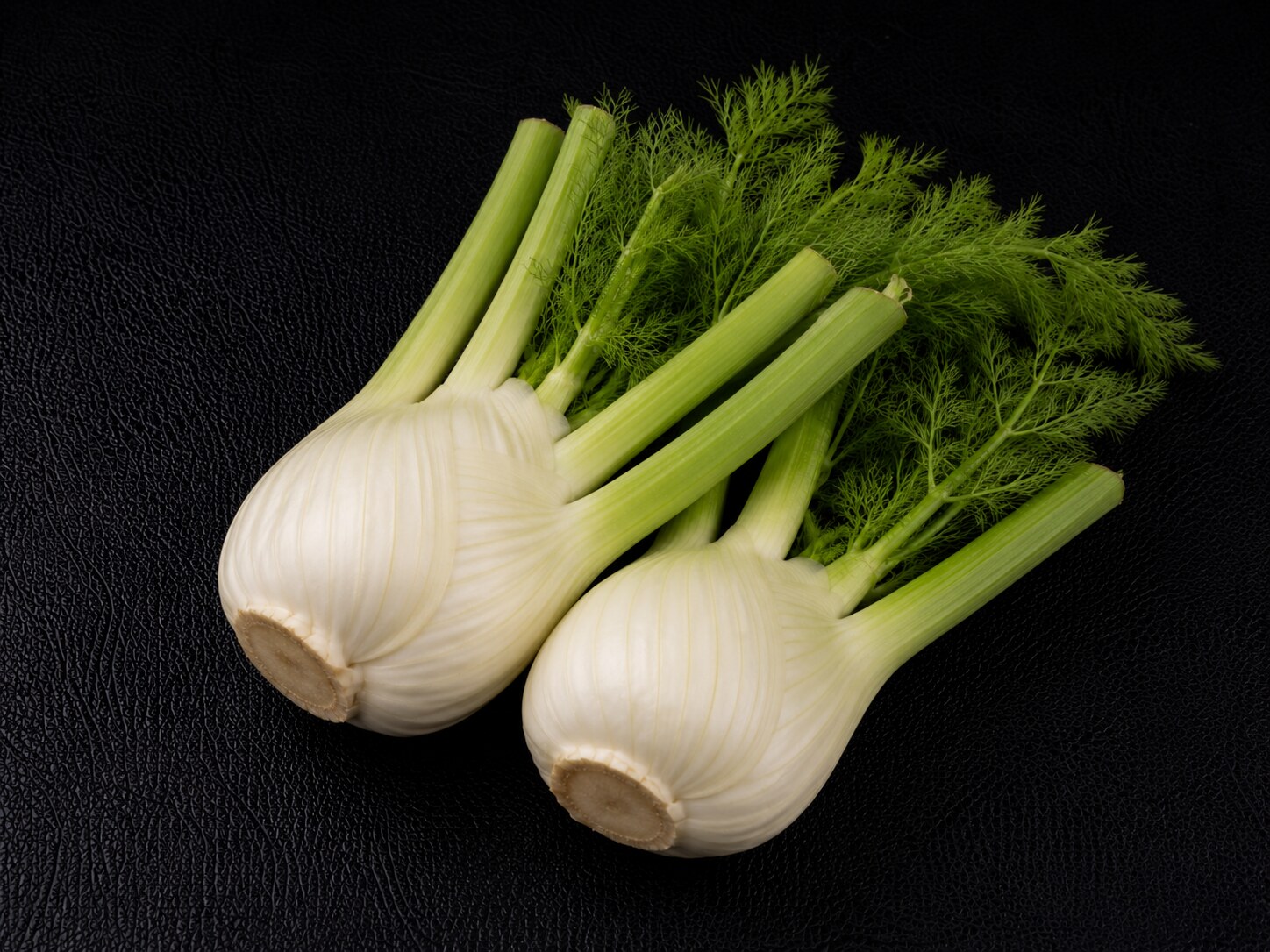 Fenouil